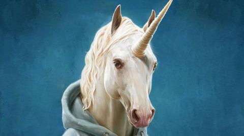 Convertirse en unicornio es mucho más complicado que hace un par algunos meses. (Shutterstock)