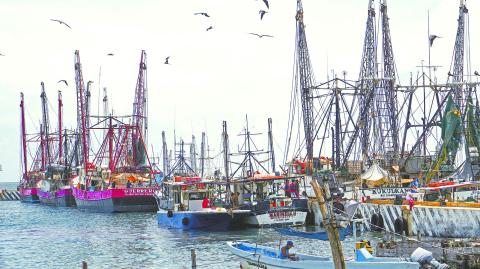 Empleados tur�sticos resguardan sus embarcaciones ante la inminente entrada del hurac�n Ian en las costas de Quintana Roo.