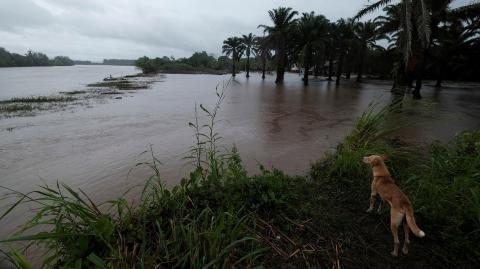 Depresión tropical Julia dejó al menos 14 muertos a su paso por Centroamérica. Foto: Reuters