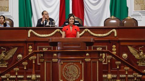 Luz Elena González, titular de la SAF, compareció ante el pleno del Congreso capitalino. Foto: Cortesía Twitter: @LuzElena_GE