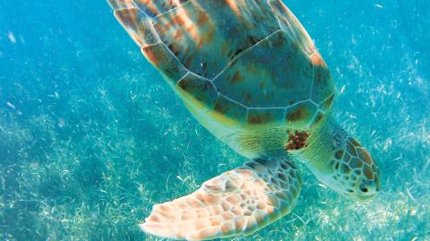 Hay una gran variedad de tours que permiten conocer de primera mano a los pobladores de Belice y a la belleza de su naturaleza. Foto: Patricia Ortega