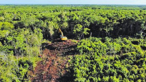 FELIPE CARRILLO PUERTO, QUINTANA ROO, 01OCTBRE2022.- Tramo 6 se encuentra ubicada selva adentro a la entrada de la Comunidad X-Hazil, 20 kilÛmetros al sur de Felipe Carrillo Puerto.  En este punto, la maquinaria ya est· abriendo camino entre la selva en un recorrido de unos 200 kilÛmetros de Tulum a Chetumal, atravesando la Zona Maya de Quintana Roo. Sin embargo, las m·quinas no han podido avanzar debido a que los propietarios de los predios por donde va a pasar la vÌa fÈrrea a˙n est·n en proceso de liquidaciÛn.FOTO: ELIZABETH RUIZ/CUARTOSCURO.COM