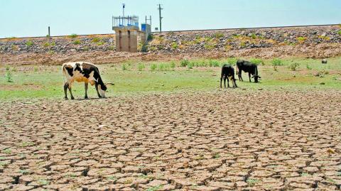 El mayor número de presas se encuentran por debajo de 50%, con 75 embalses.