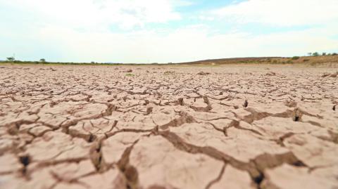 La sequía podría generar una disminución de la producción de granos como el maíz blanco y el amarillo