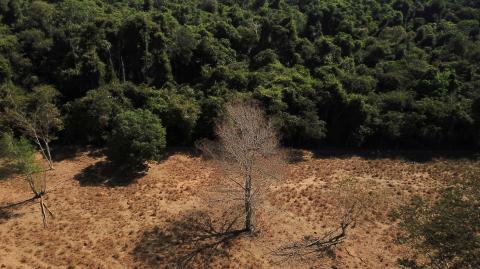 FILE PHOTO: Scientists from the State University of Mato Grosso identify signs of climate change on the border between Amazonia and Cerrado