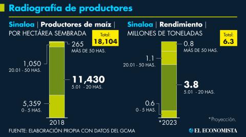 Los pequeños productores (con siembras de hasta 20 hectáreas) representan más de 90% de los maiceros en Sinaloa y aportan 70% de la producción.