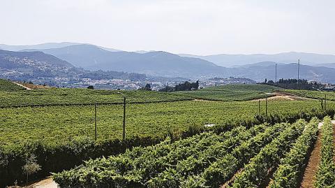 El curso permitirá capacitar a las y los estudiantes para enfrentar problemáticas y desafíos de alta complejidad en agroecología.