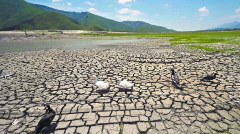 Los estados del norte del son y han sido los más afectados por la escasez de agua en México. Foto: AFP