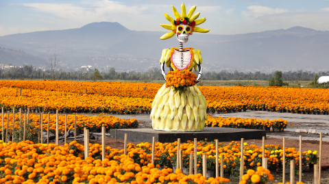 Artesanía y cultura se entrelazan en la Apertura de Venta de la Flor de Cempasúchil. Foto EE: Eric Lugo