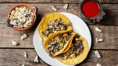 Tacos de Huitlacoche