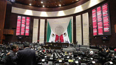 Pleno de la Cámara de Diputados. Foto EE: Especial