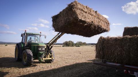 El Gobierno ruso aspira a fletar unas 200,000 toneladas antes de que acabe el año. Foto: Europa Press