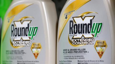 Bayer ha afirmado que décadas de estudios han demostrado que el Roundup y su ingrediente activo, el glifosato, son seguros para el uso humano. Foto: Reuters.