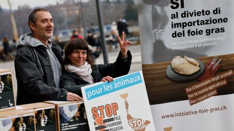 Es hipócrita prohibir a los ganaderos suizos que produzcan foie gras so pena de sanciones, pero sí está autorizada su importación. Foto: AFP.