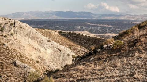 La desertificación es “la degradación de las tierras áridas, semiáridas y subhúmedo secas como consecuencia de las variaciones climáticas y las actividades humanas”. Foto: Shutterstock.