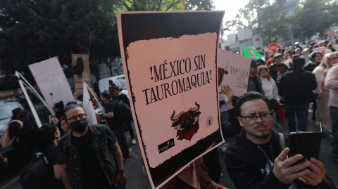 Foto EE: Eric Lugo