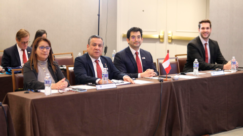 Comité Olímpico de Perú en la Asamblea General Extraordinaria donde se decidió la ciudad que albergarán los Juegos Panamericanos 2027. Foto EE: Cortesía X / @PanamSports