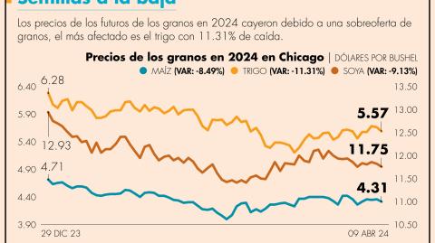 La mayor reducción la registraron los futuros del trigo, que cedieron 11,31%, para llegar a los 5,57 dólares por bushel