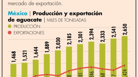 La producción mexicana de aguacate desde 2013 registró un crecimiento acumulado de 80.7%