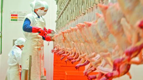 Durante el año en curso se espera que las importaciones mexicanas de carne de pollo estén lideradas por los cuartos de pierna y muslo de Estados Unidos