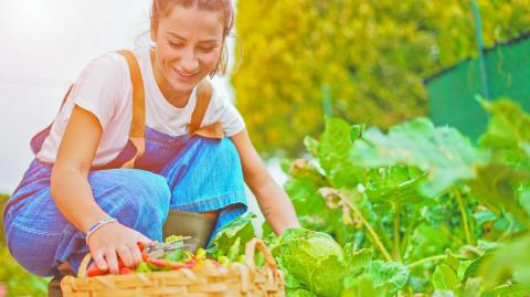 Educación. Capacitar a la comunidad sobre una dieta nutritiva en línea con el cuidado ambiental, compromiso. Foto: Shutterstock