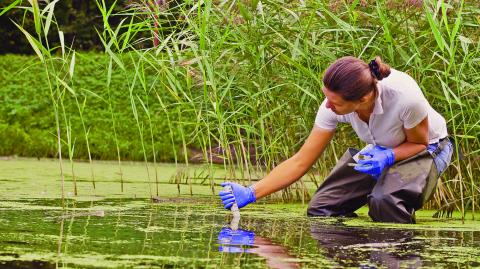 Woman,Ecologist,Measuring,Ph,Of,The,Water,In,The,Lake.