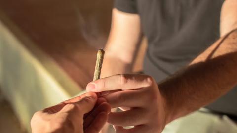 El consumo de cannabis de alta potencia puede incrementar los síntomas y primeros episodios psicóticos. Foto: Shutterstock.