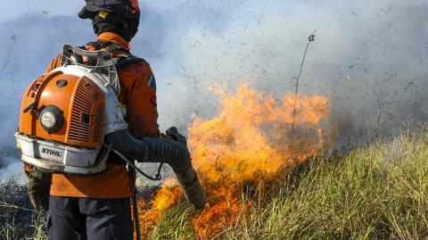 Foto: AFP