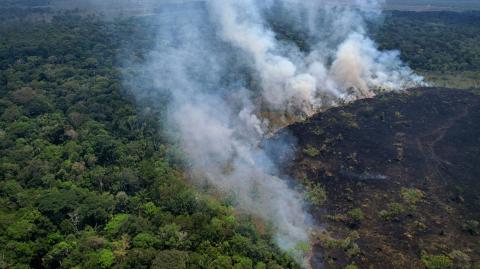 Vista aérea de una zona quemada en la selva amazónica, cerca de la Reserva Extractivista Lago do Cunia. Foto: AFP