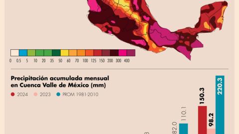 El volumen actual de las grandes presas se ubicó en 38%