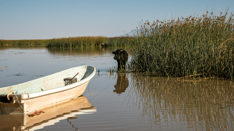 Foto: Cortersía