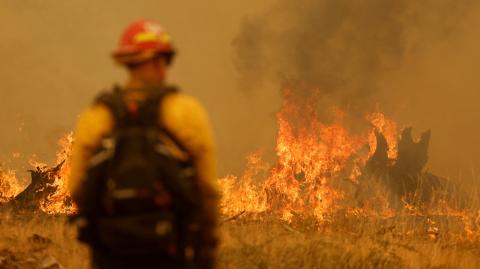 Un bombero vigila las llamas mientras el incendio de Park arde cerca de Paynes Creek , California. Foto: Reuters