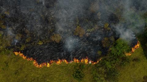 Foto: AFP