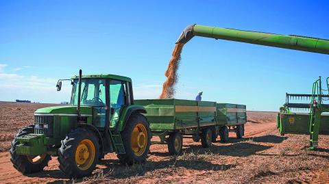 La soya estadounidense ha estado bajo presión este año, según analistas. Foto: AFP