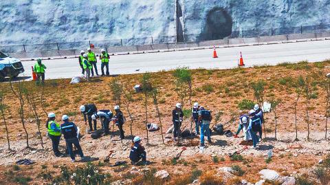 Compromiso. Se sembraron tres tipos de árboles nativos. Foto: Cortesía