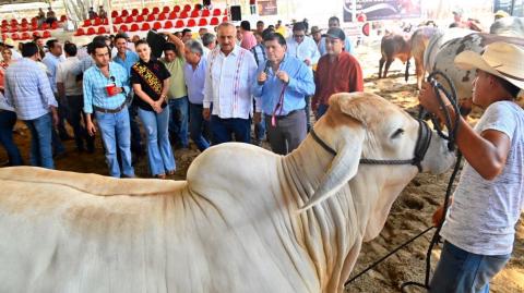 Carlos Manuel Merino Campos promueve el desarrollo agropecuario de Tabasco. Foto EE: Cortesía