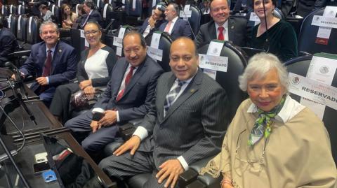 Olga Sánchez Cordero, ocupando su curul en la Cámara de Diputados. Foto EE: Cortesía.