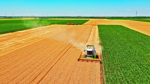 Se espera una producción grande este ciclo en el campo en Estados Unidos. Foto: Shutterstock