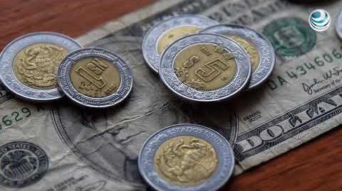 El Economista