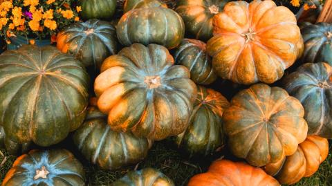 Calabaza de castilla