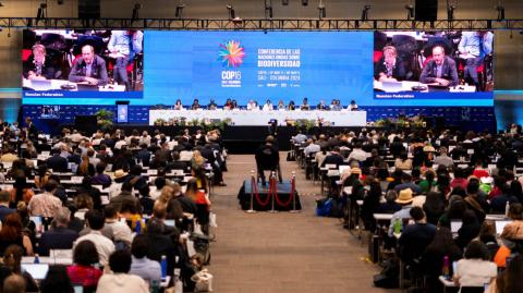 La COP16 sobre biodiversidad se llevo a cabo del 21 de octubre al 1 de noviembre en Colombia.