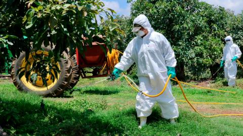 La pobreza laboral aumentó marginalmente en el tercer trimestre del año, con lo que se interrumpió una racha de cuatro periodos consecutivos con descensos. Actualmente, ésta afecta al 35.1% de la población en México.

Para más información del tema, visita: https://www.eleconomista.com.mx/capital-humano/pobreza-laboral-freno-caida-abarca-45-6-millones-personas-20241203-736784.html 

¡Síguenos en nuestras redes sociales para mantenerte informado!

Twitter: https://twitter.com/eleconomista 
Facebook: https://www.facebook.com/ElEconomista.mx
Instagram: https://www.instagram.com/eleconomistamx
LinkedIn: https://www.linkedin.com/company/el-economista/

#ElEconomista #EETV