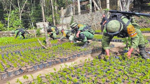 Según la Comisión Nacional para el Desarrollo y Vida Sin Drogas (Devida), las áreas cultivadas con plantas de coca en 2023 sumaron 92,784 hectáreas contra las 95,000 de 2022.

Para más información del tema, visita: https://www.eleconomista.com.mx/internacionales/peru-erradica-25-000-hectareas-cultivos-ilegales-hoja-coca-20241209-737580.html

¡Síguenos en nuestras redes sociales para mantenerte informado!

Twitter: https://twitter.com/eleconomista 
Facebook: https://www.facebook.com/ElEconomista.mx
Instagram: https://www.instagram.com/eleconomistamx
LinkedIn: https://www.linkedin.com/company/el-economista/

#ElEconomista #EETV