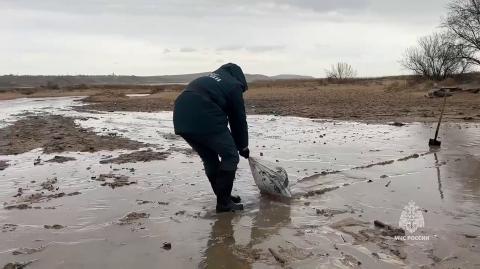 La ciudad de Anapa, de 90,000 habitantes, está oficialmente desde el martes en situación de emergencia por el derrame de petróleo en la costa, igual que otras cuatro localidades más pequeñas.