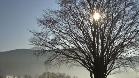 Imagen de invierno.