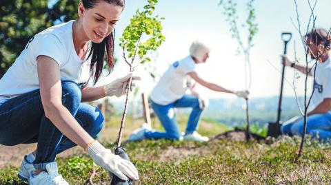 Eco protection. Nice young attractive woman wearing gloves and holing a tree while intending to plant it