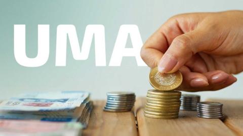 La UMA es la unidad de cuenta, índice, base, medida o referencia económica en pesos para determinar la cuantía del pago de las obligaciones.

Para más información del tema, visita: https://www.eleconomista.com.mx/economia/vale-uma-unidad-medida-actualizacion-mexico-20250109-741227.html

¡Síguenos en nuestras redes sociales para mantenerte informado!

Twitter: https://twitter.com/eleconomista 
Facebook: https://www.facebook.com/ElEconomista.mx
Instagram: https://www.instagram.com/eleconomistamx
LinkedIn: https://www.linkedin.com/company/el-economista/

#ElEconomista #EETV