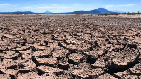 Expertos consideran que todas las actividades referentes a cualquier ámbito deben hacerse con perspectiva de cambio climático.