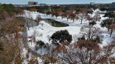 Nevada en Houston, Texas.