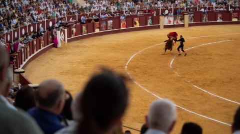 El objetivo de la prohibición es transformar las corridas en un “espectáculo sin violencia”, respetando los derechos de los seres vivos.